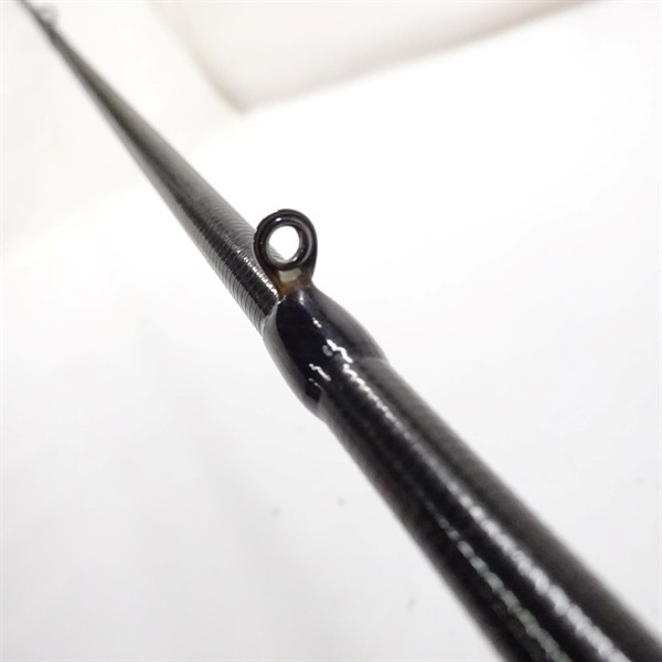 ソルティーステージプロトタイプシーバス
